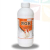 NGK forte