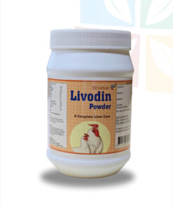 Livodin Powder